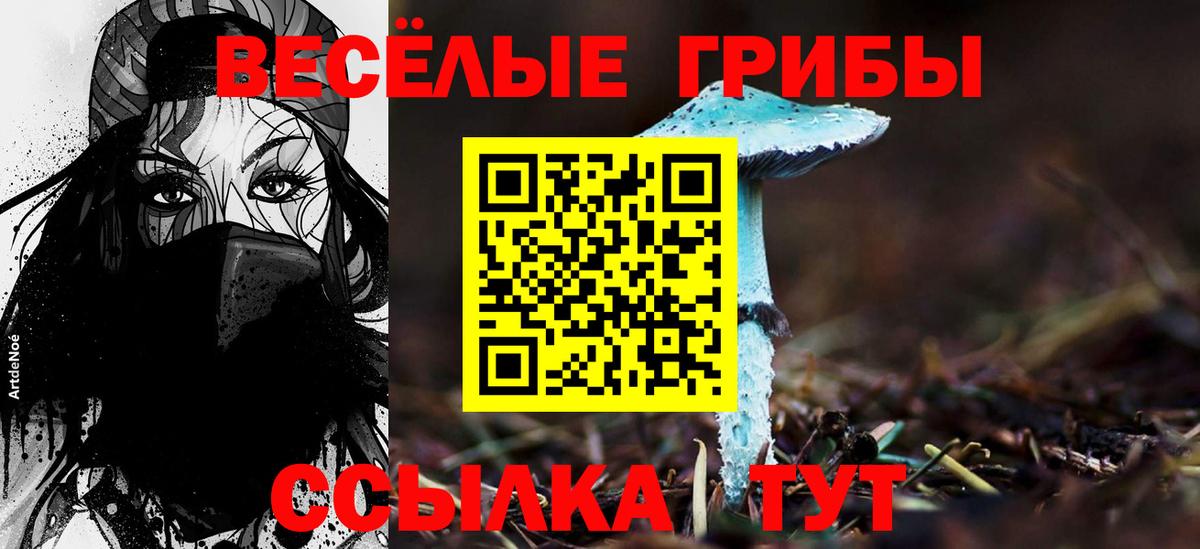 Галлюциногенные грибы Psilocybine cubensis  Вход с VPN  Псилоцибиновые грибы мицелий  Десногорск 